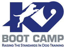 K9 Boot Camp Raising The Standard In Dog Training
